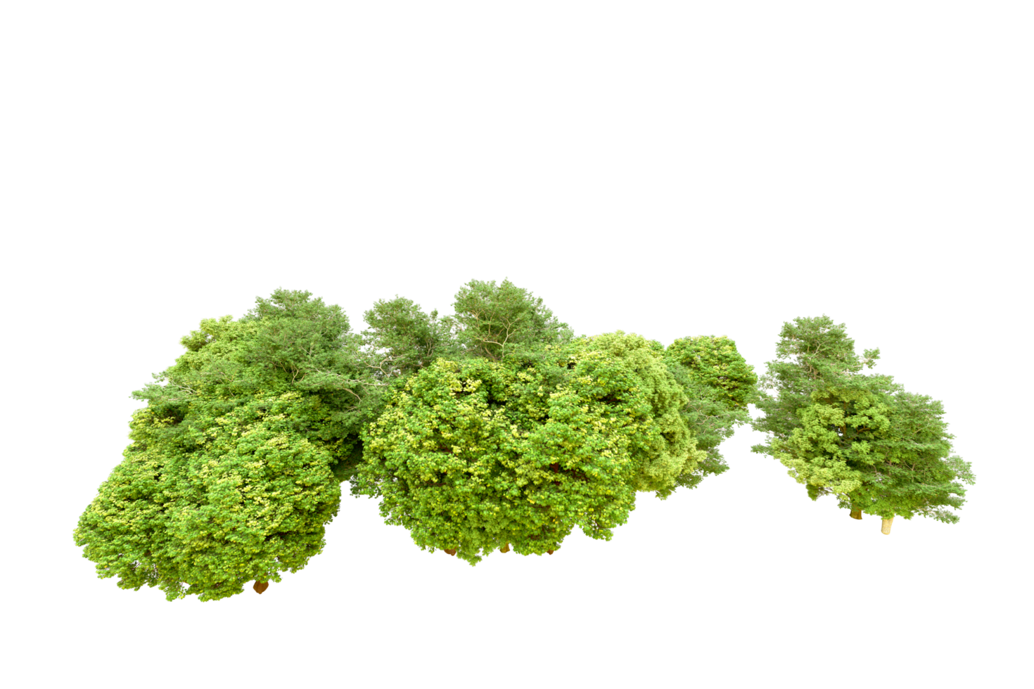 Green forest isolated on background. 3d rendering - illustration png