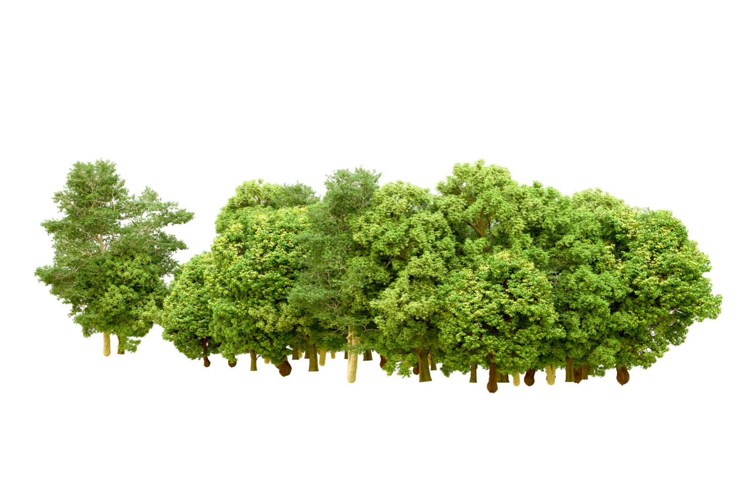 Green forest isolated on background. 3d rendering - illustration png