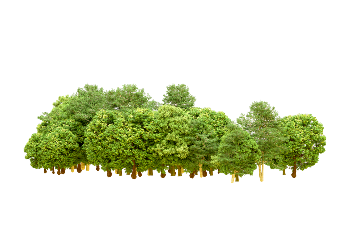Green forest isolated on background. 3d rendering - illustration png