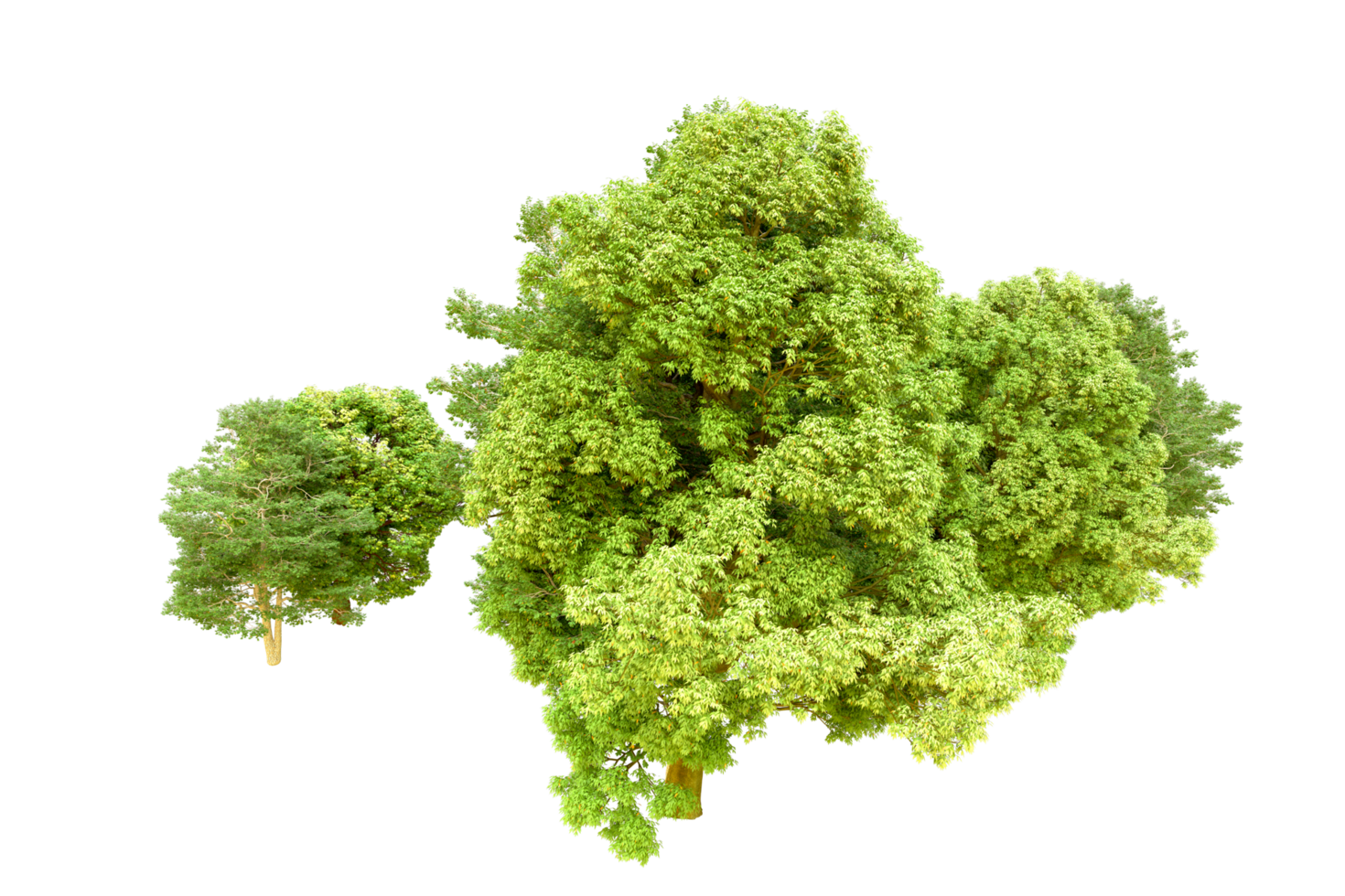 Green forest isolated on background. 3d rendering - illustration png