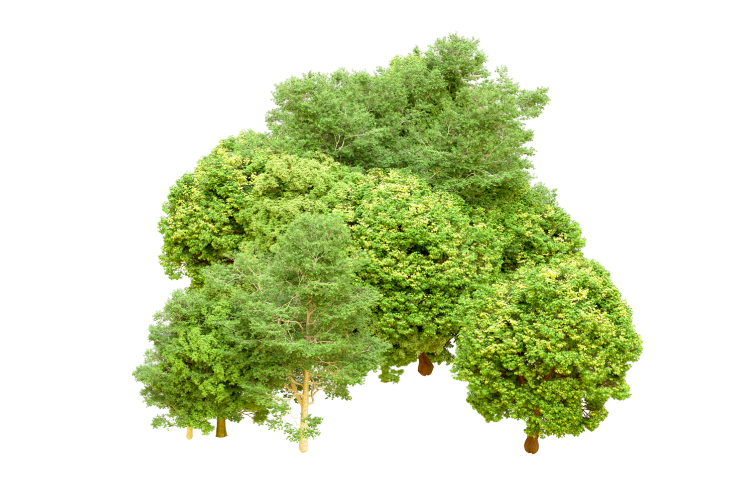 Green forest isolated on background. 3d rendering - illustration png