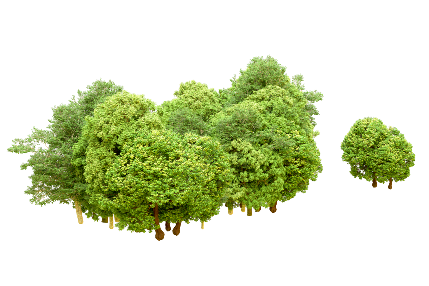 Green forest isolated on background. 3d rendering - illustration png