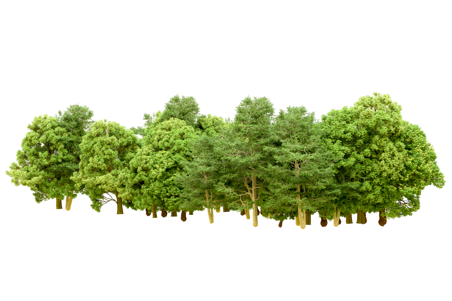 Green forest isolated on background. 3d rendering - illustration png