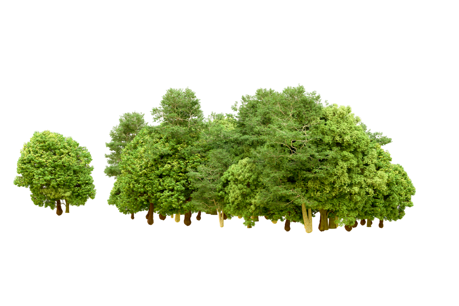Green forest isolated on background. 3d rendering - illustration png