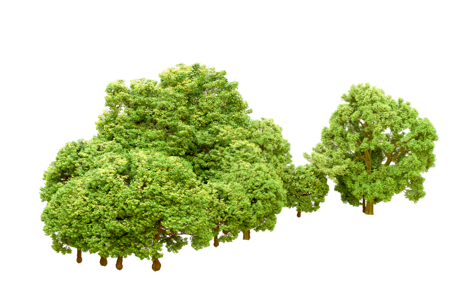 Green forest isolated on background. 3d rendering - illustration png
