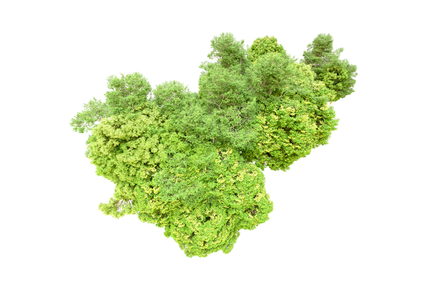 Green forest isolated on background. 3d rendering - illustration png