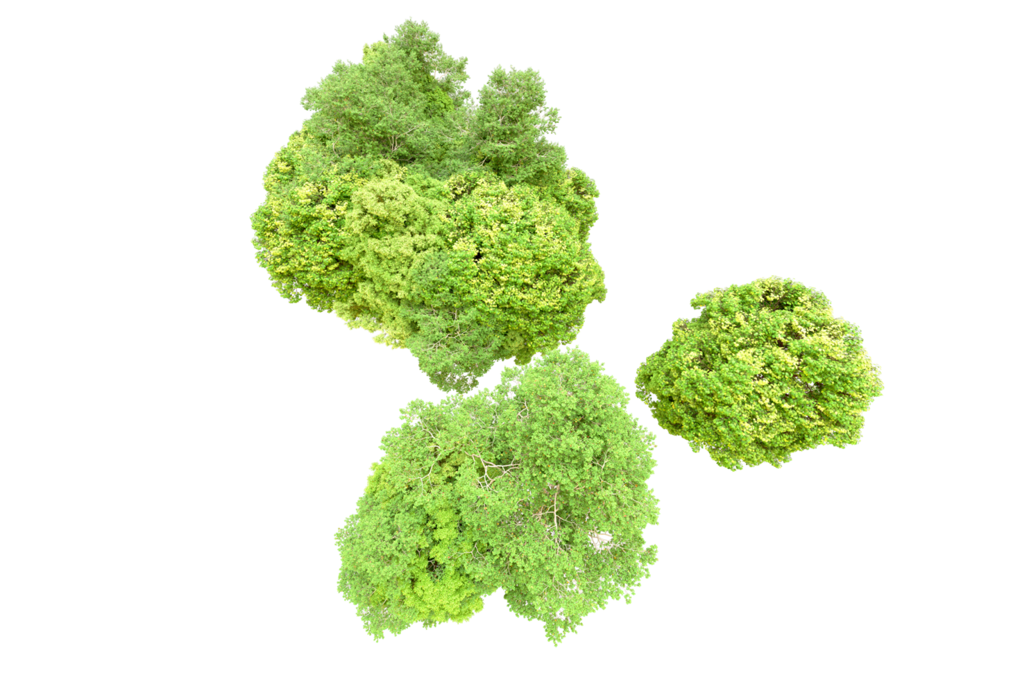 Green forest isolated on background. 3d rendering - illustration png