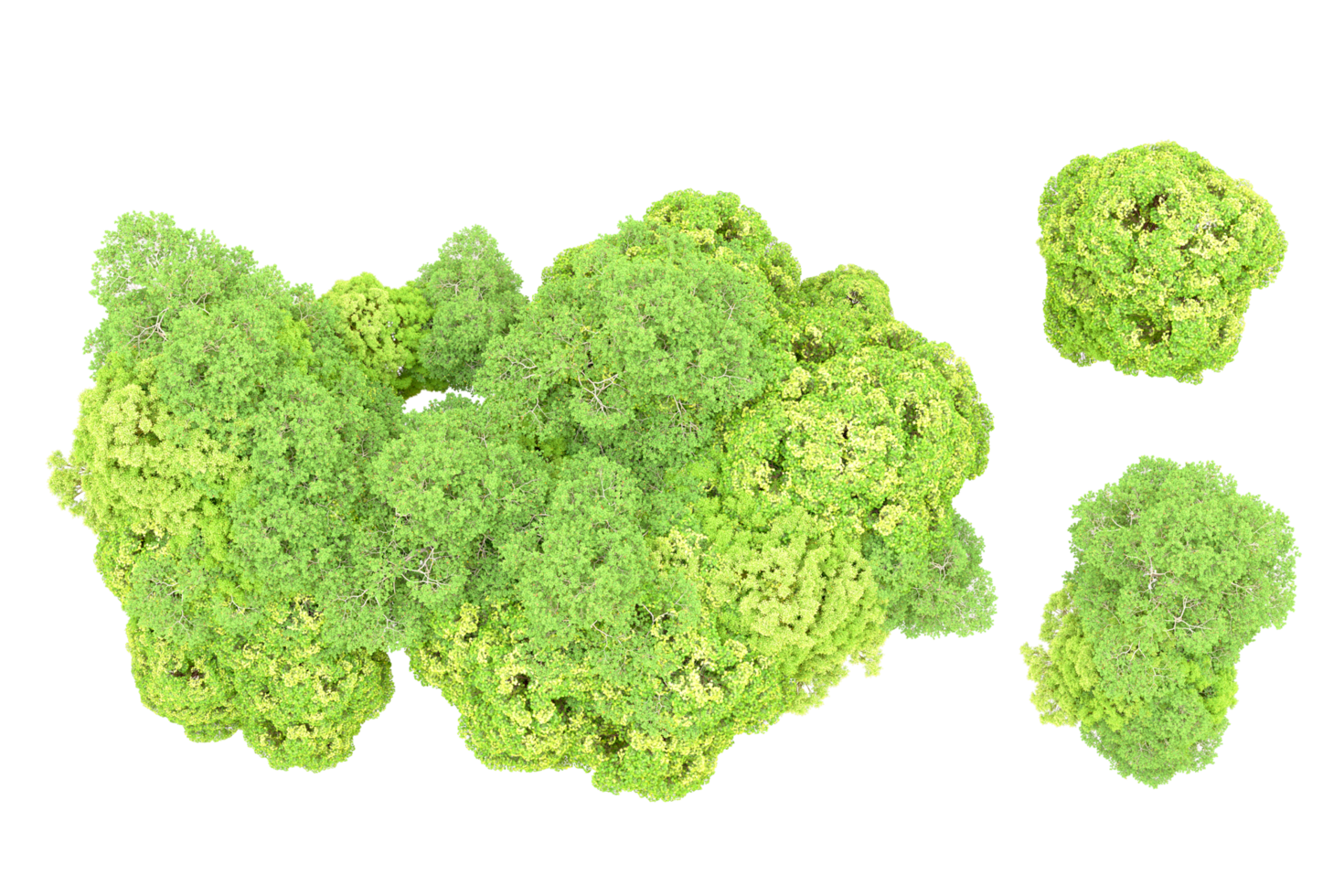 Green forest isolated on background. 3d rendering - illustration png