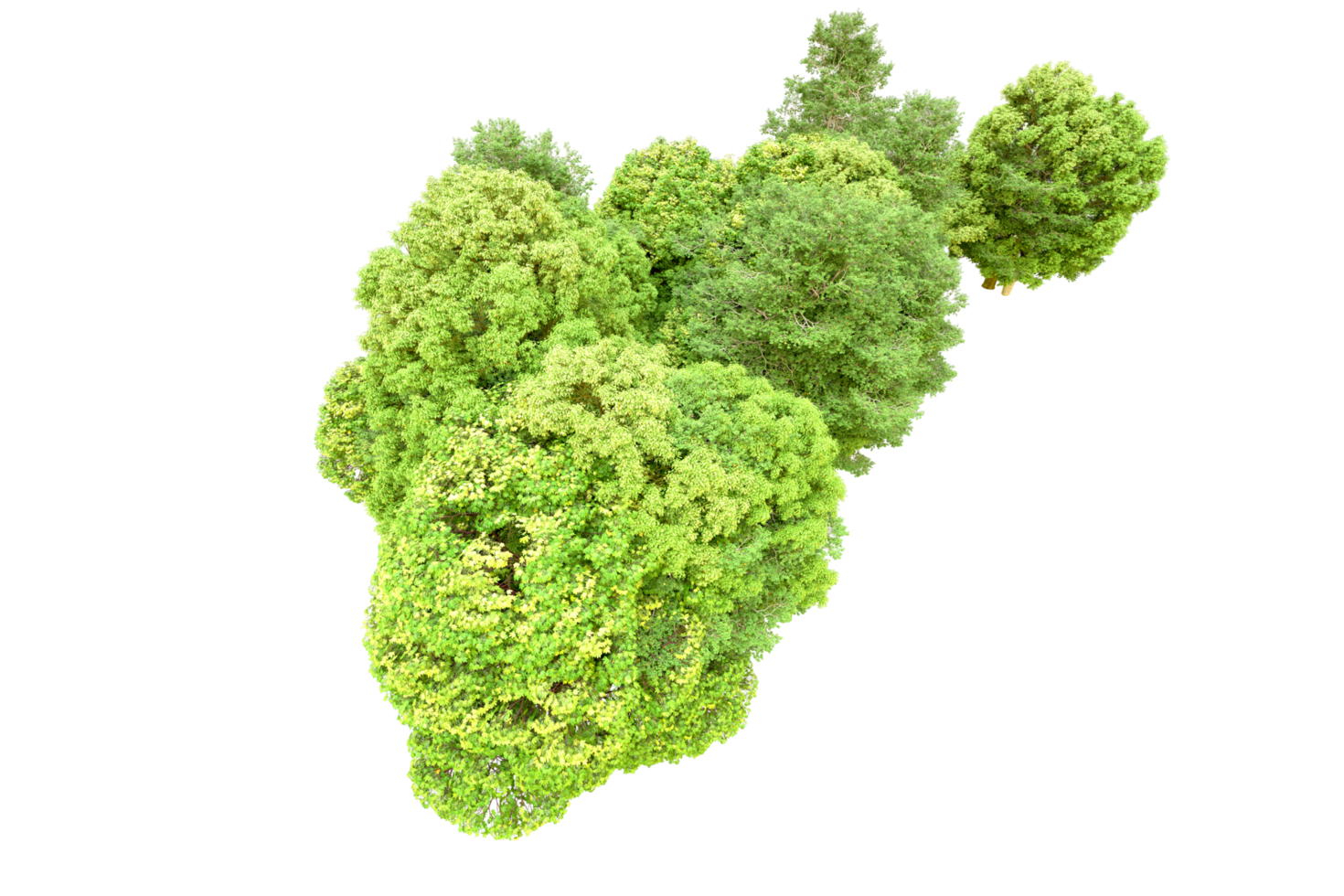 Green forest isolated on background. 3d rendering - illustration png