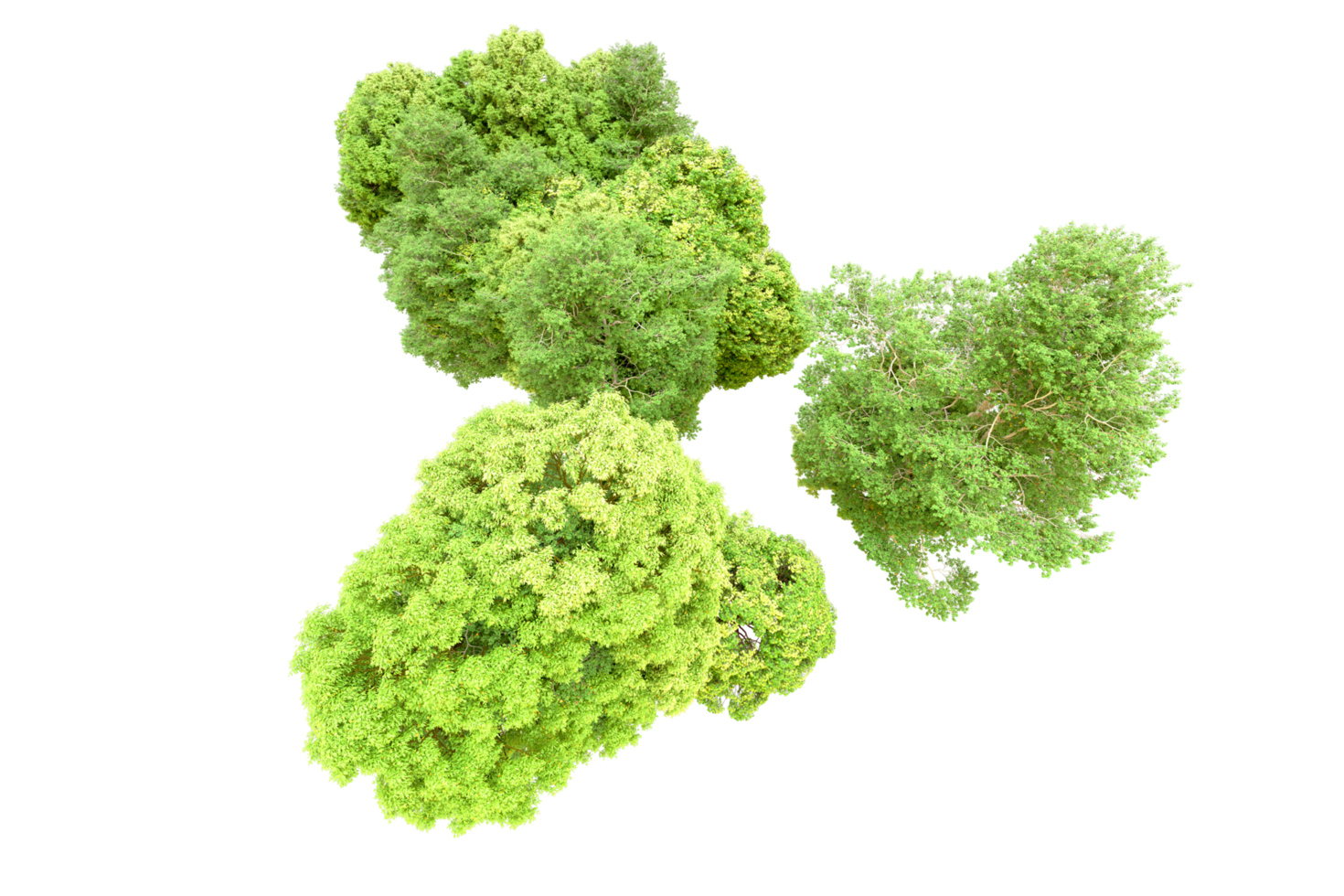 Green forest isolated on background. 3d rendering - illustration png