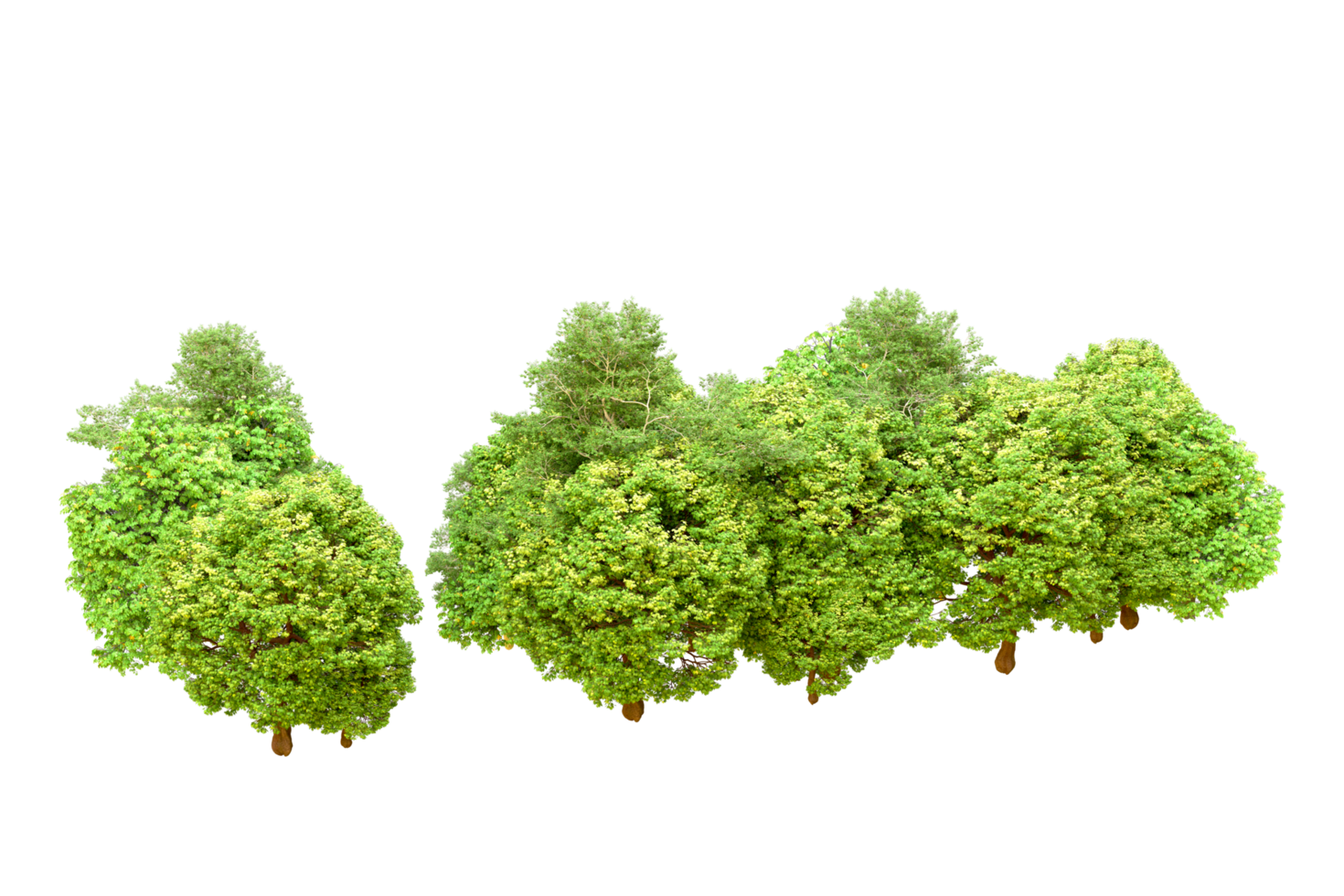 Green forest isolated on background. 3d rendering - illustration png