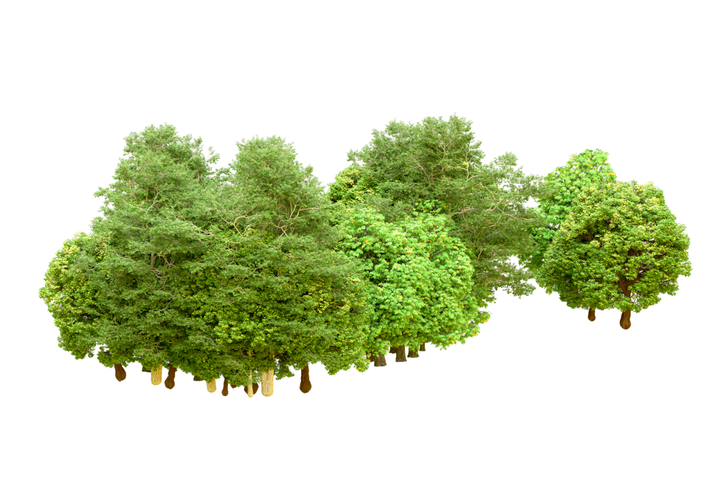 Green forest isolated on background. 3d rendering - illustration png