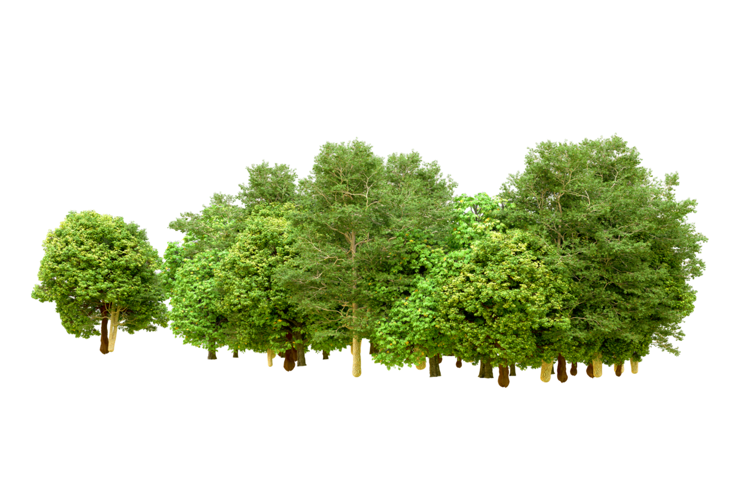 Green forest isolated on background. 3d rendering - illustration png
