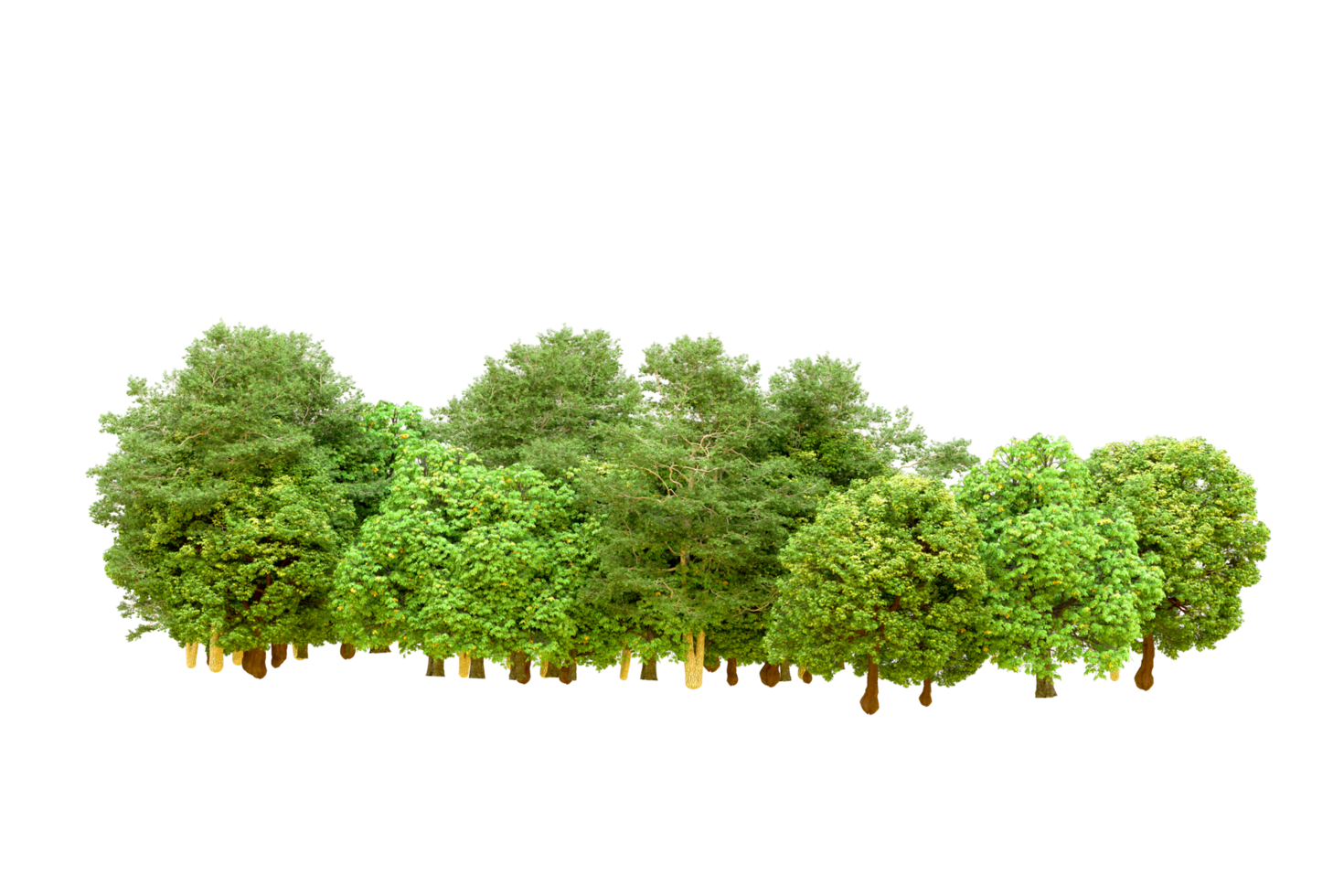 Green forest isolated on background. 3d rendering - illustration png