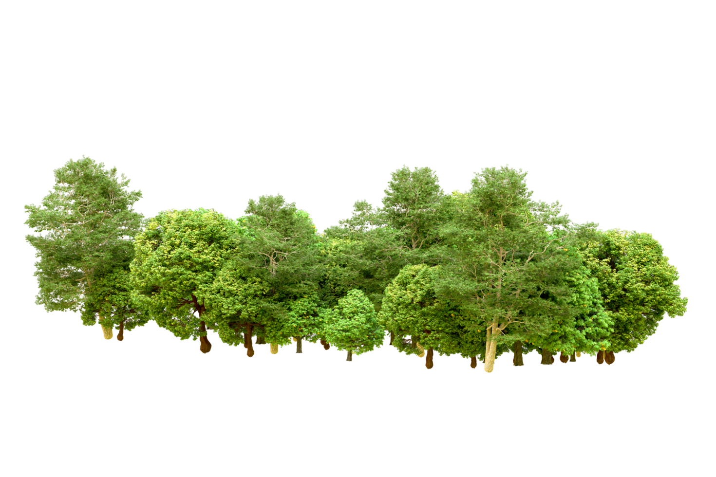 Green forest isolated on background. 3d rendering - illustration png