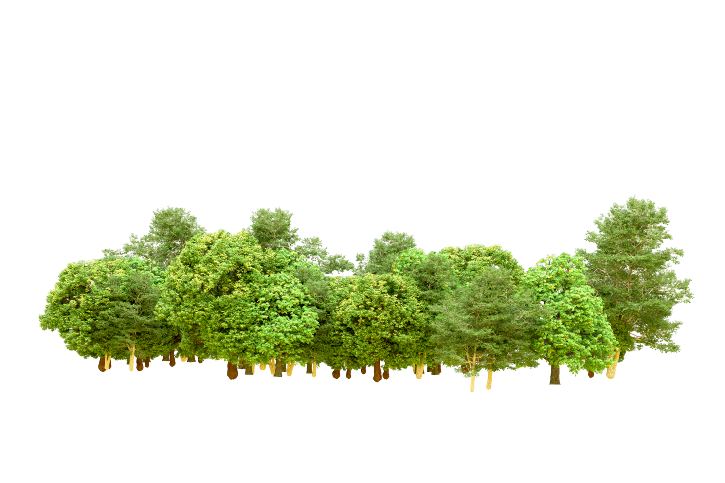 Green forest isolated on background. 3d rendering - illustration png