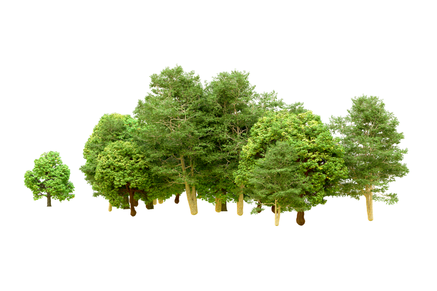Green forest isolated on background. 3d rendering - illustration png
