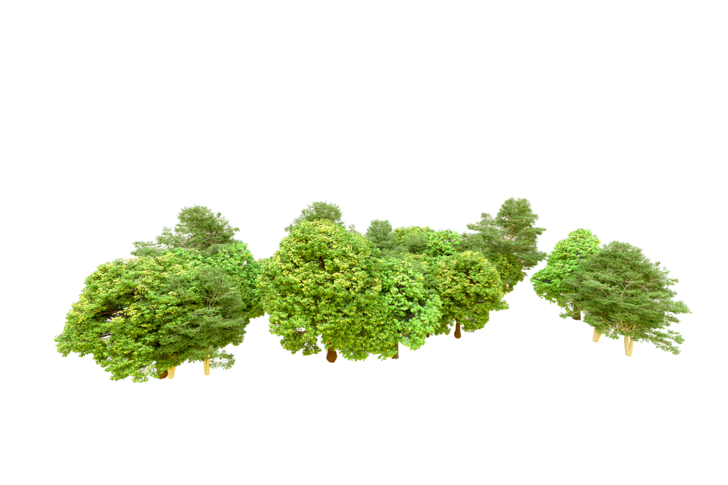 Green forest isolated on background. 3d rendering - illustration png