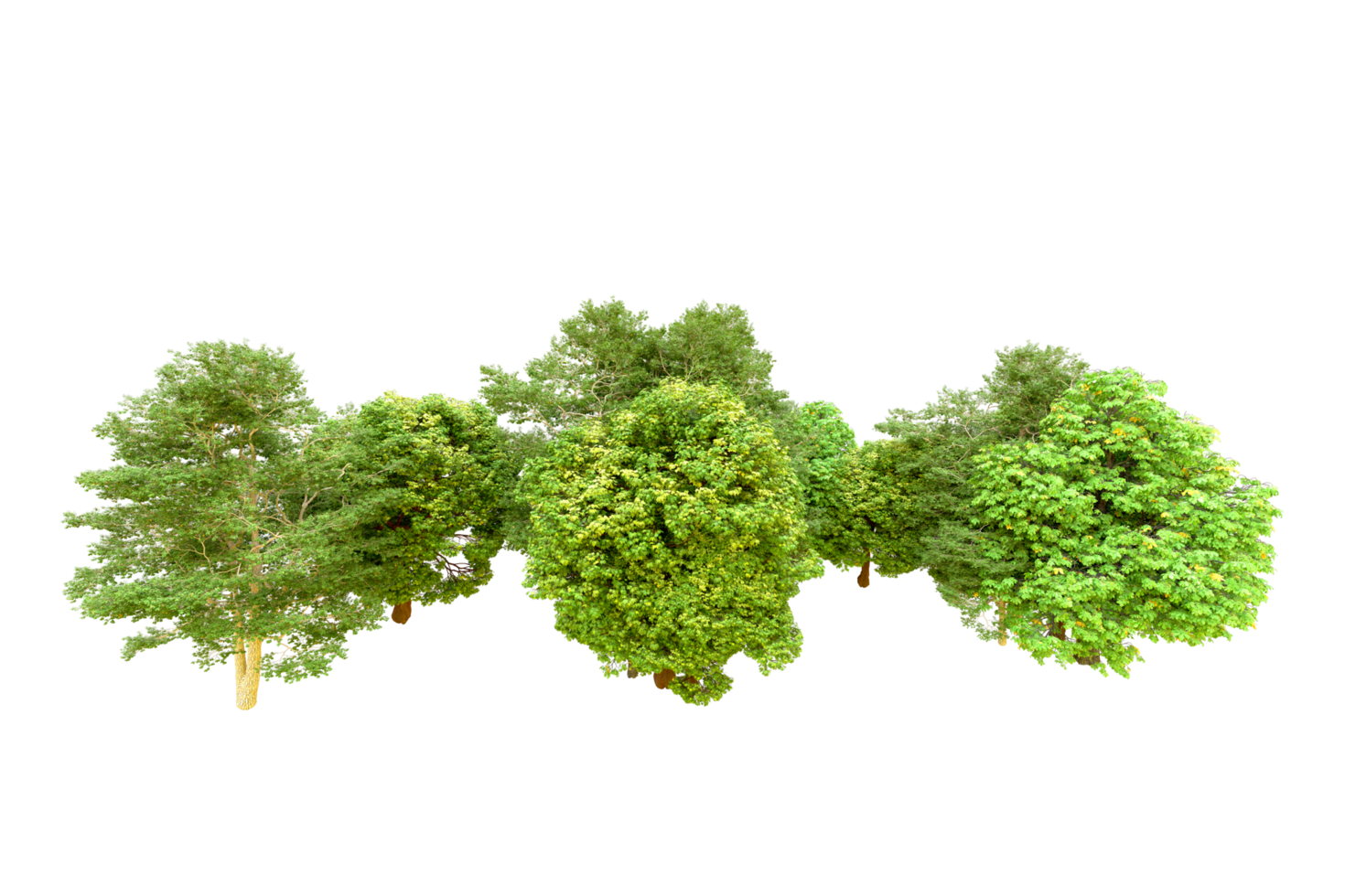 Green forest isolated on background. 3d rendering - illustration png