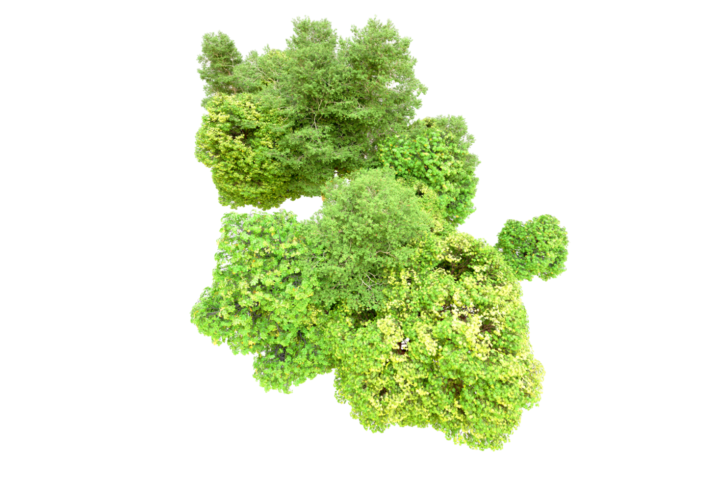 Green forest isolated on background. 3d rendering - illustration png