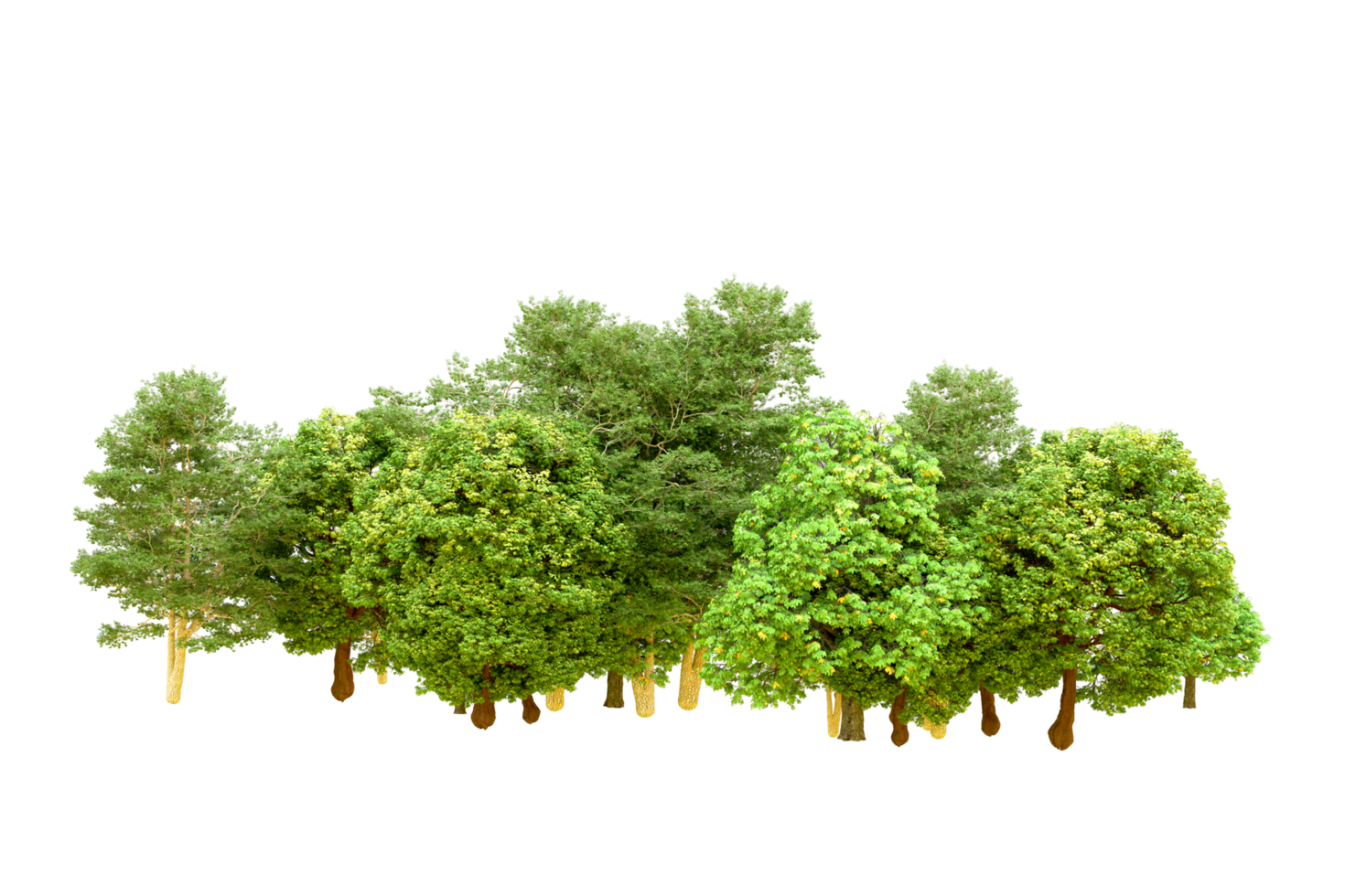 Green forest isolated on background. 3d rendering - illustration png