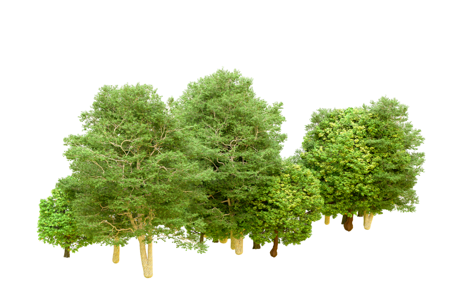 Green forest isolated on background. 3d rendering - illustration png