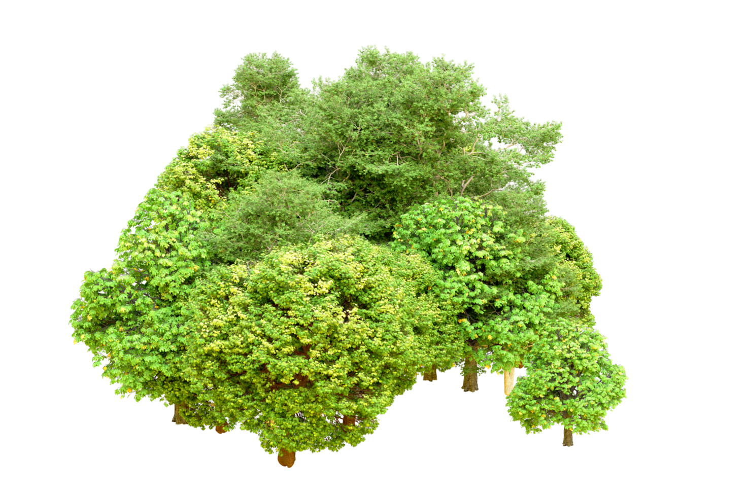 Green forest isolated on background. 3d rendering - illustration png