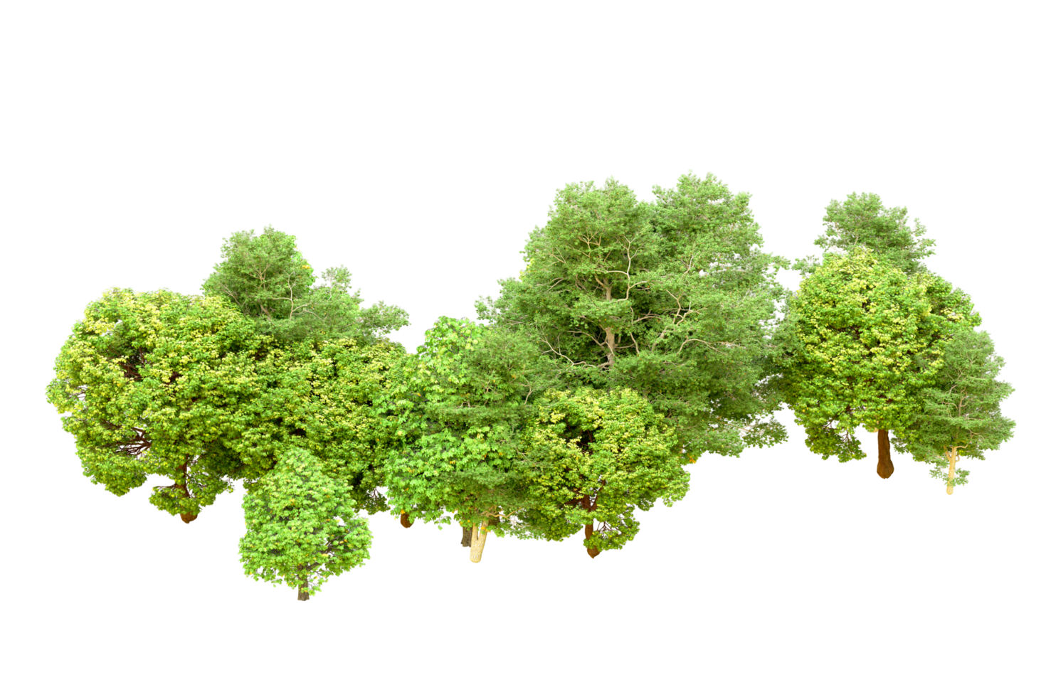 Green forest isolated on background. 3d rendering - illustration png