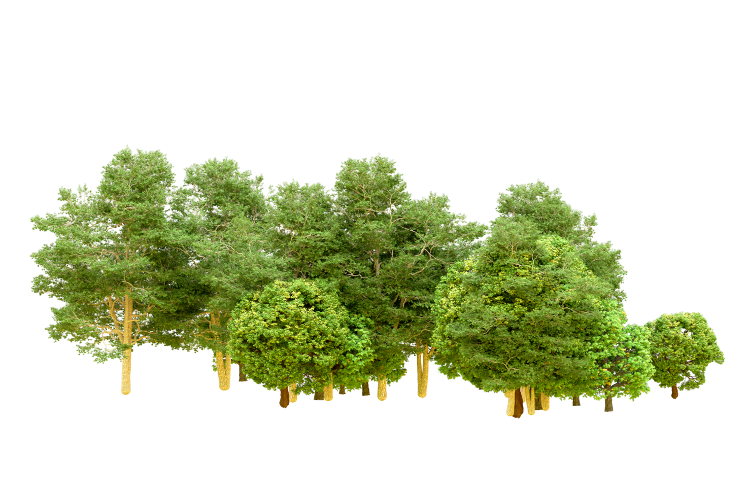 vert forêt isolé sur Contexte. 3d le rendu - illustration png