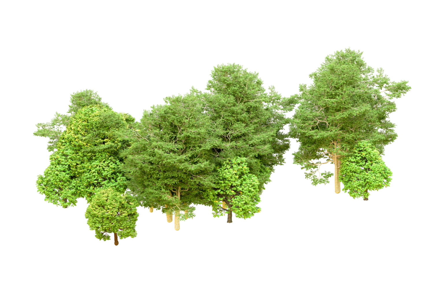 Green forest isolated on background. 3d rendering - illustration png