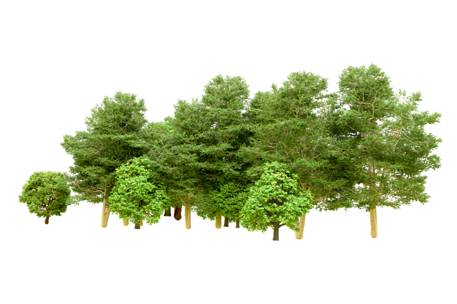Green forest isolated on background. 3d rendering - illustration png