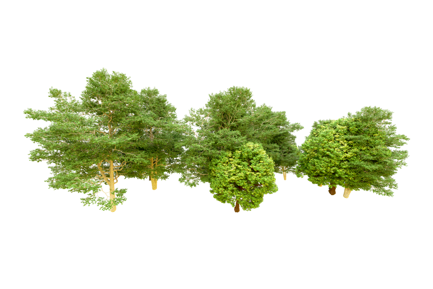 Green forest isolated on background. 3d rendering - illustration png