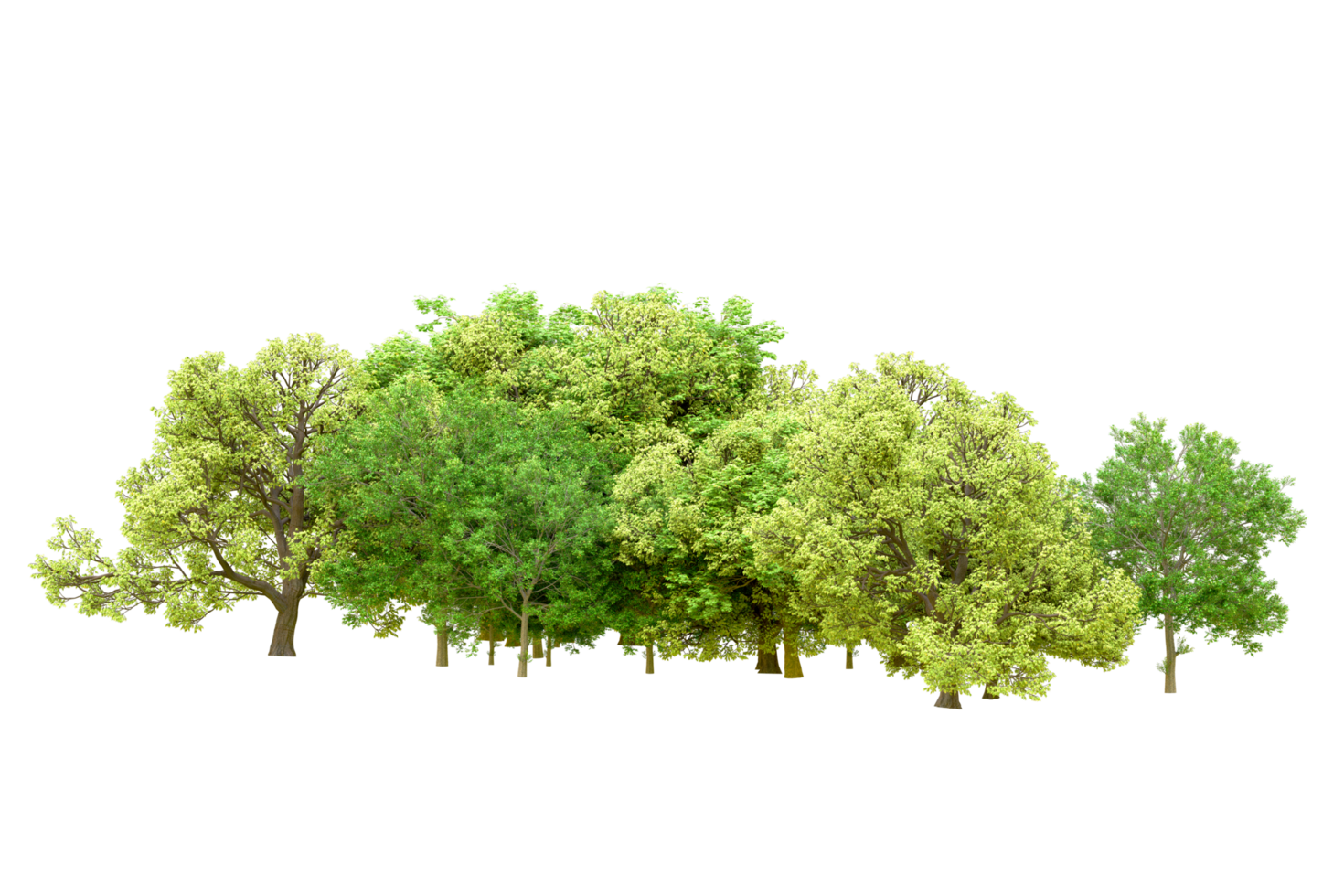 Green forest isolated on background. 3d rendering - illustration png
