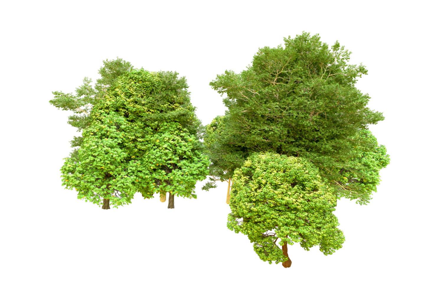 Green forest isolated on background. 3d rendering - illustration png