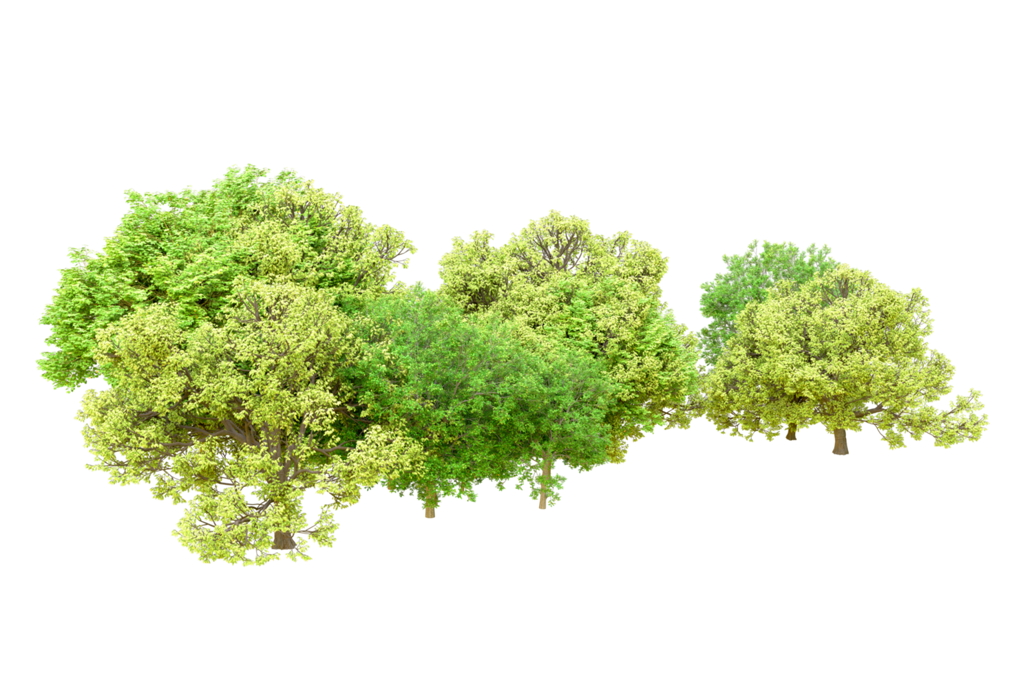 Green forest isolated on background. 3d rendering - illustration png
