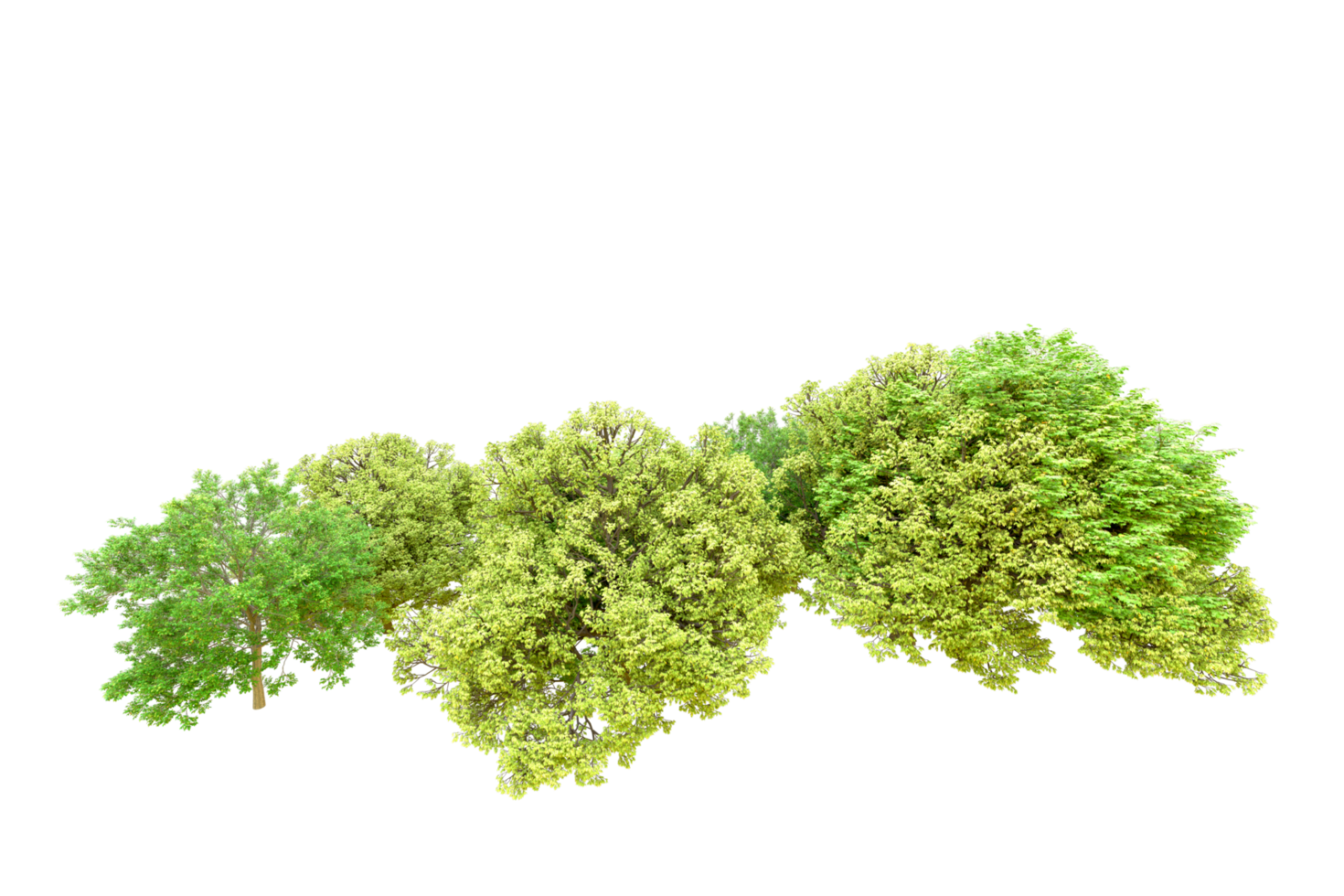 Green forest isolated on background. 3d rendering - illustration png