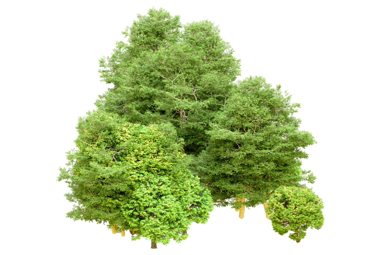 Green forest isolated on background. 3d rendering - illustration png