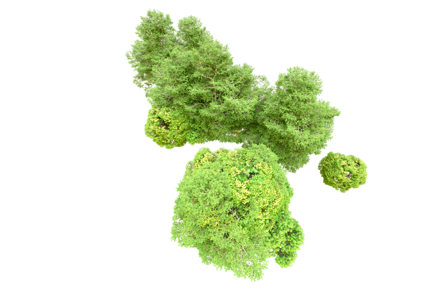 Green forest isolated on background. 3d rendering - illustration png