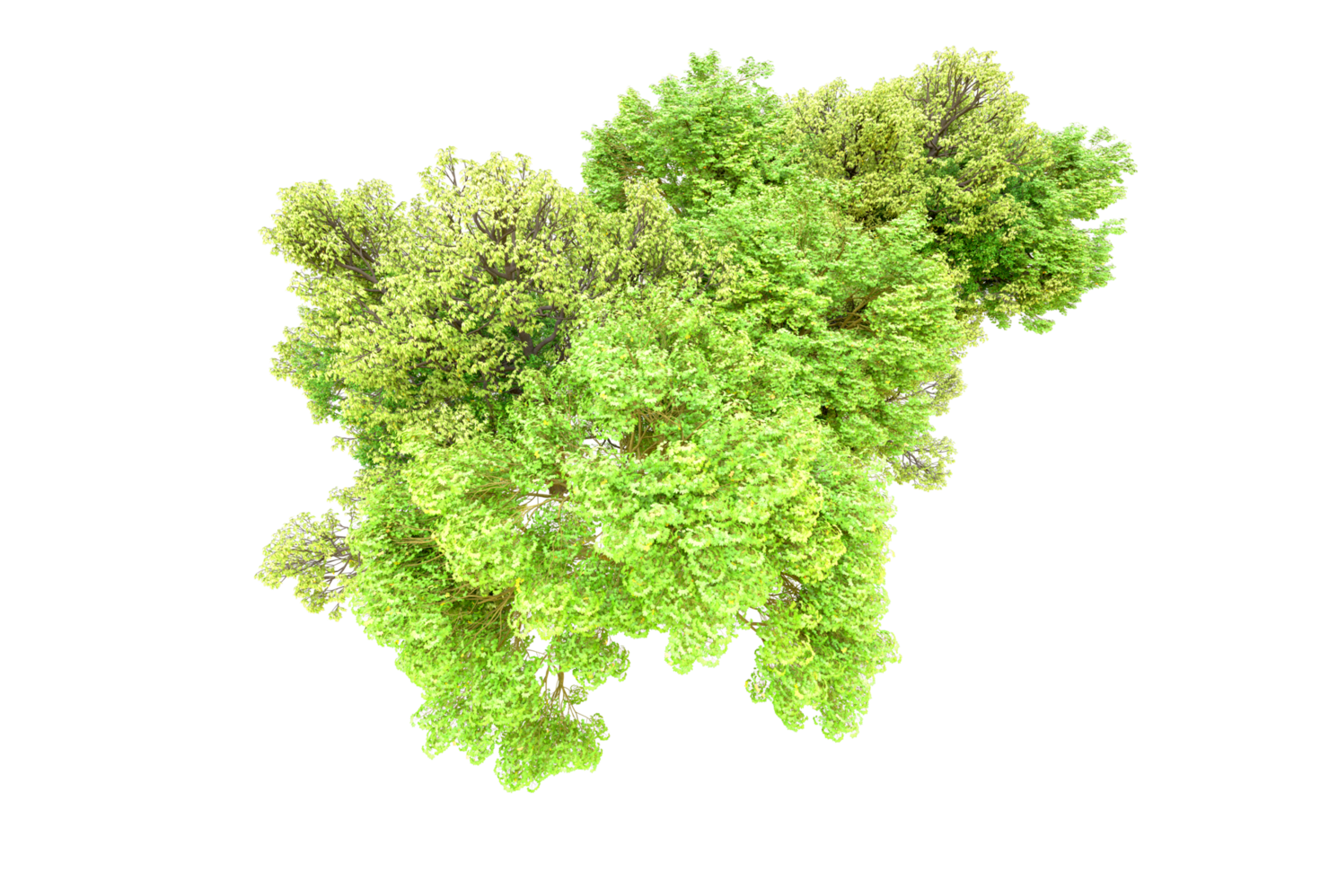 verde floresta isolado em fundo. 3d Renderização - ilustração png