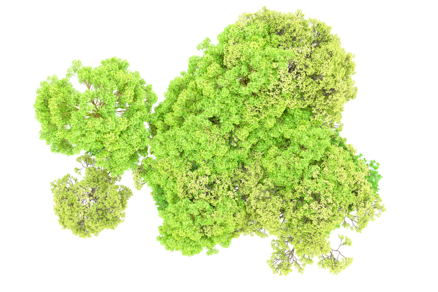 Green forest isolated on background. 3d rendering - illustration png