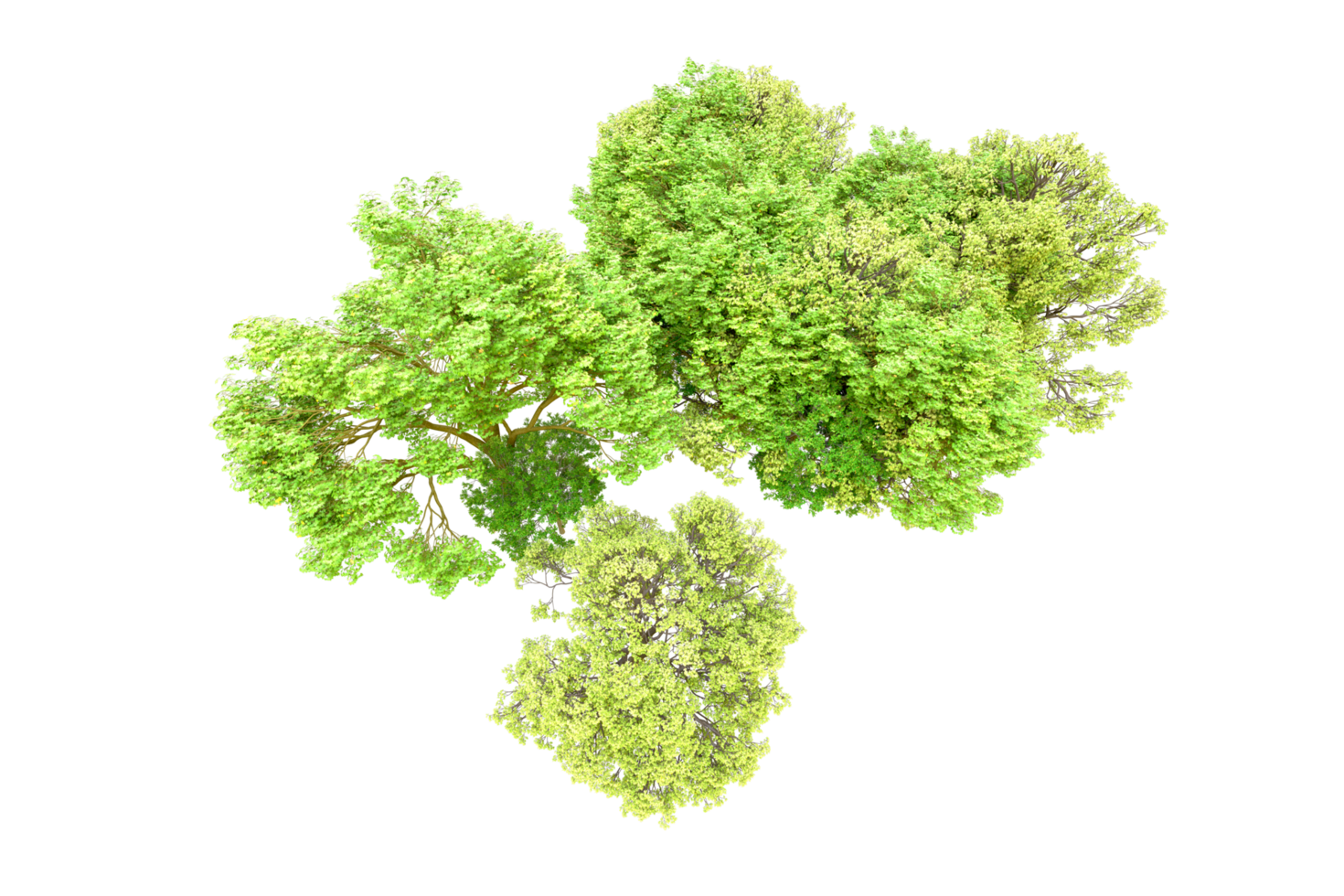 Green forest isolated on background. 3d rendering - illustration png