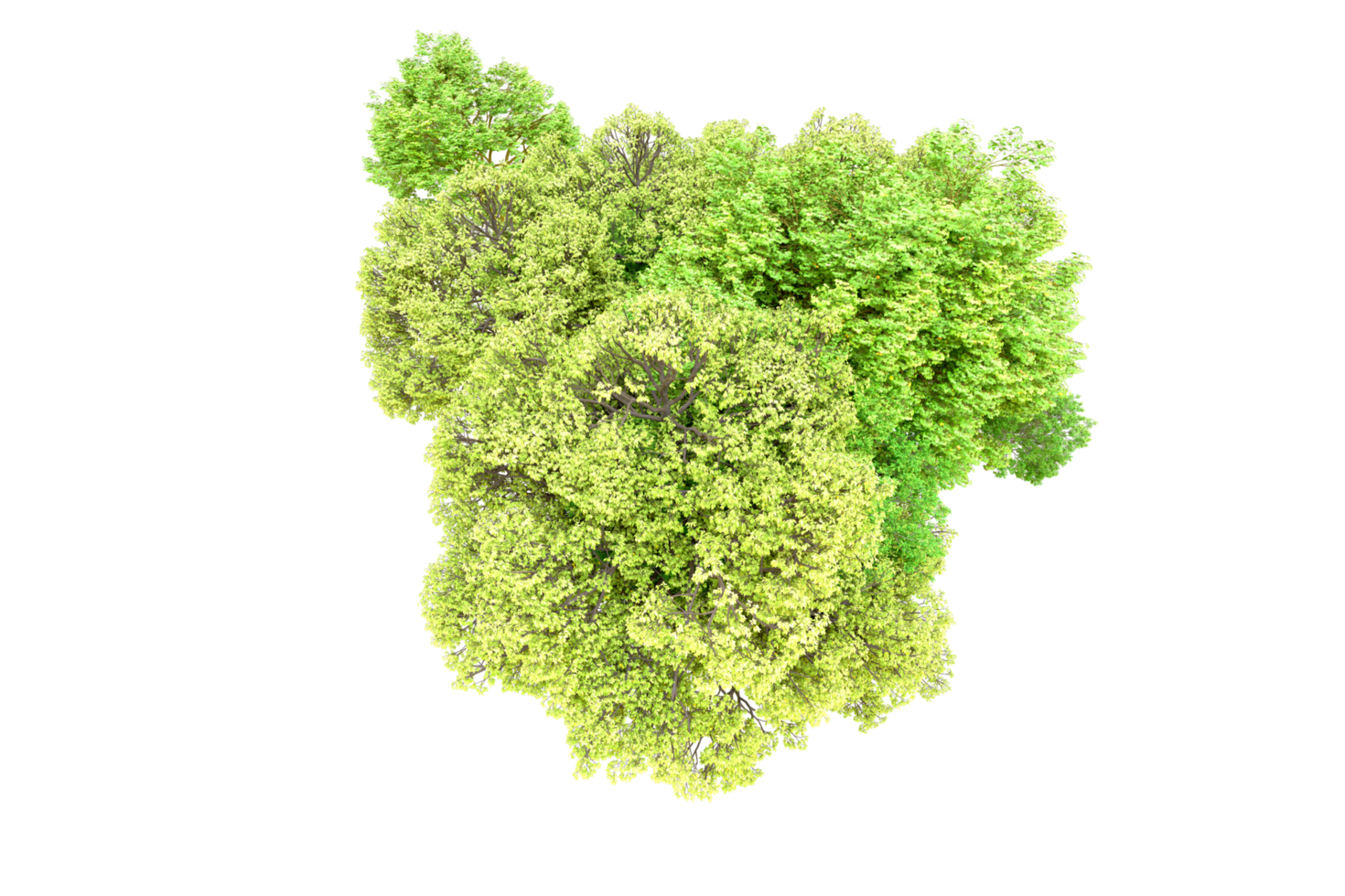 Green forest isolated on background. 3d rendering - illustration png
