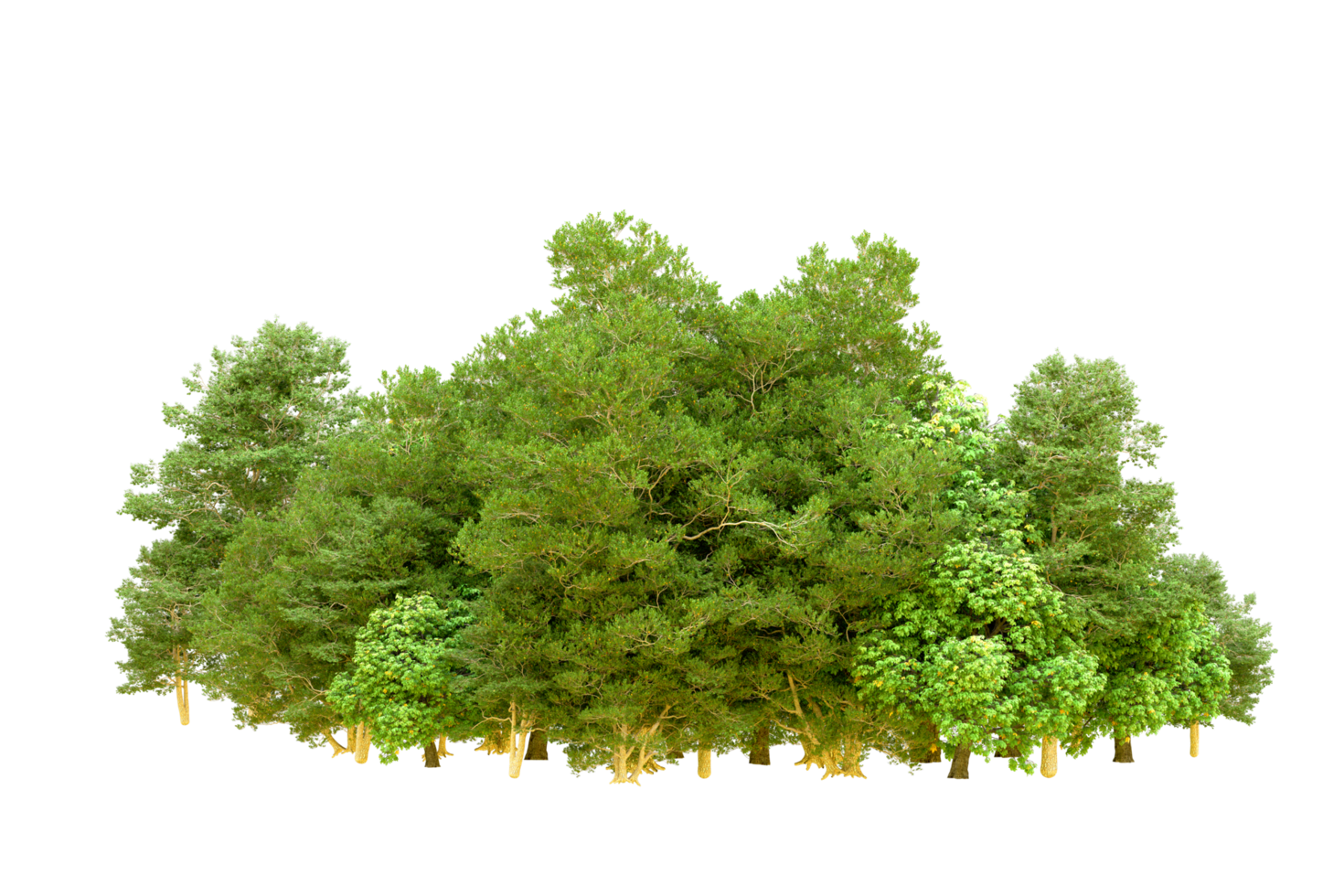 verde foresta isolato su sfondo. 3d interpretazione - illustrazione png