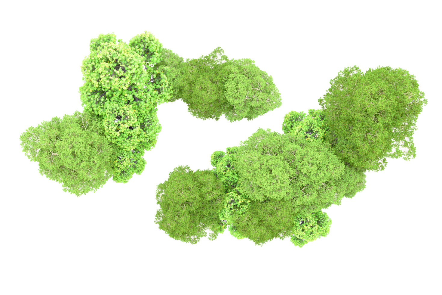 Green forest isolated on background. 3d rendering - illustration png