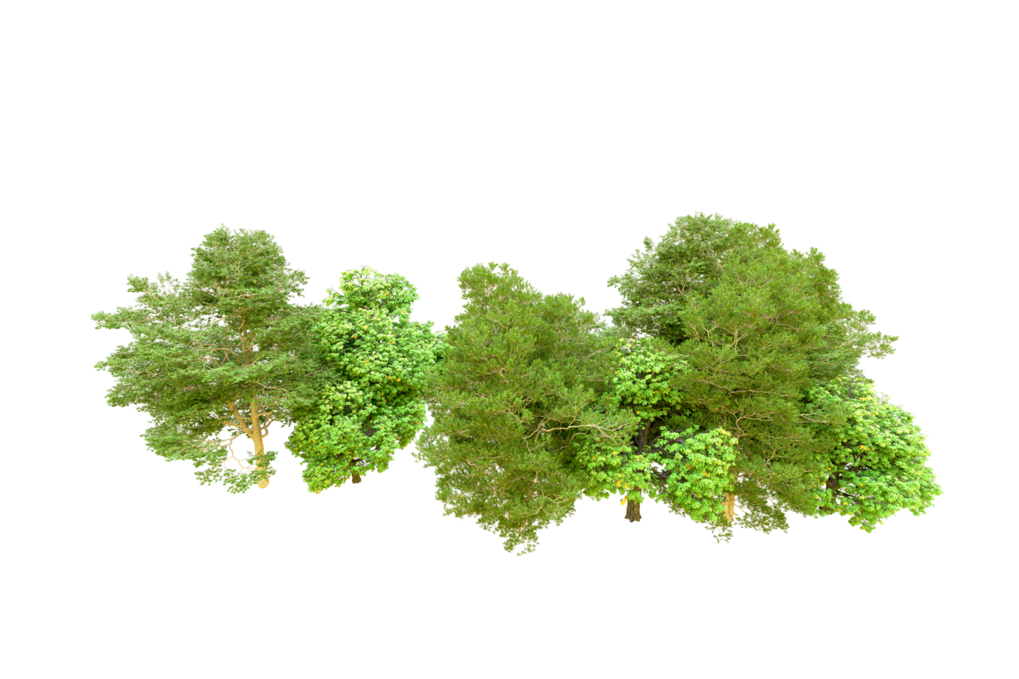 Green forest isolated on background. 3d rendering - illustration png