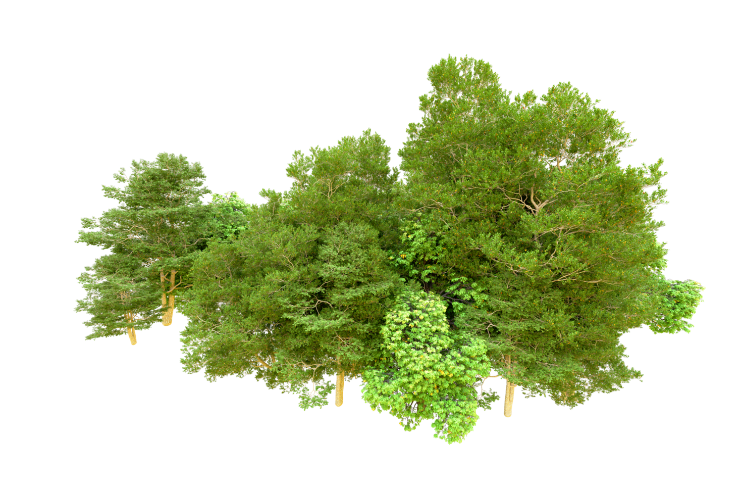 Green forest isolated on background. 3d rendering - illustration png