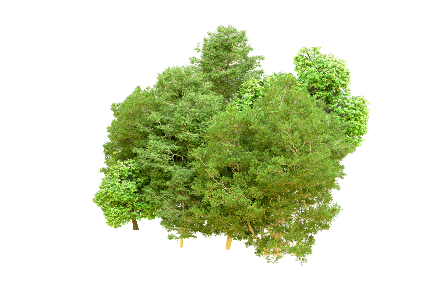 Green forest isolated on background. 3d rendering - illustration png
