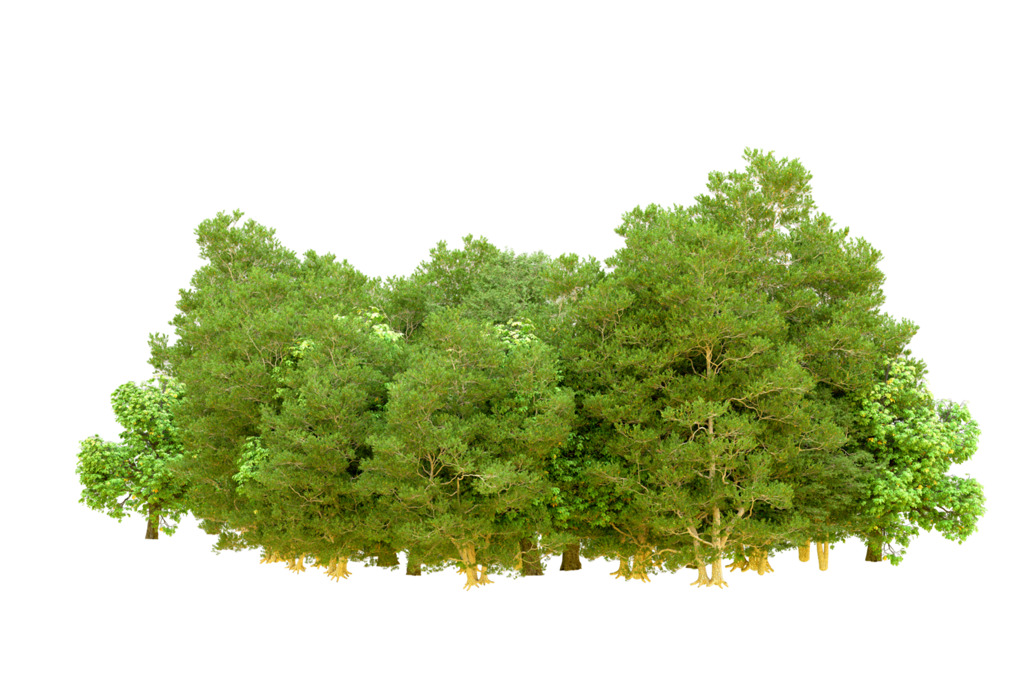 Green forest isolated on background. 3d rendering - illustration png