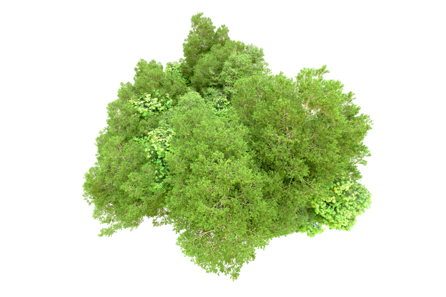 Green forest isolated on background. 3d rendering - illustration png