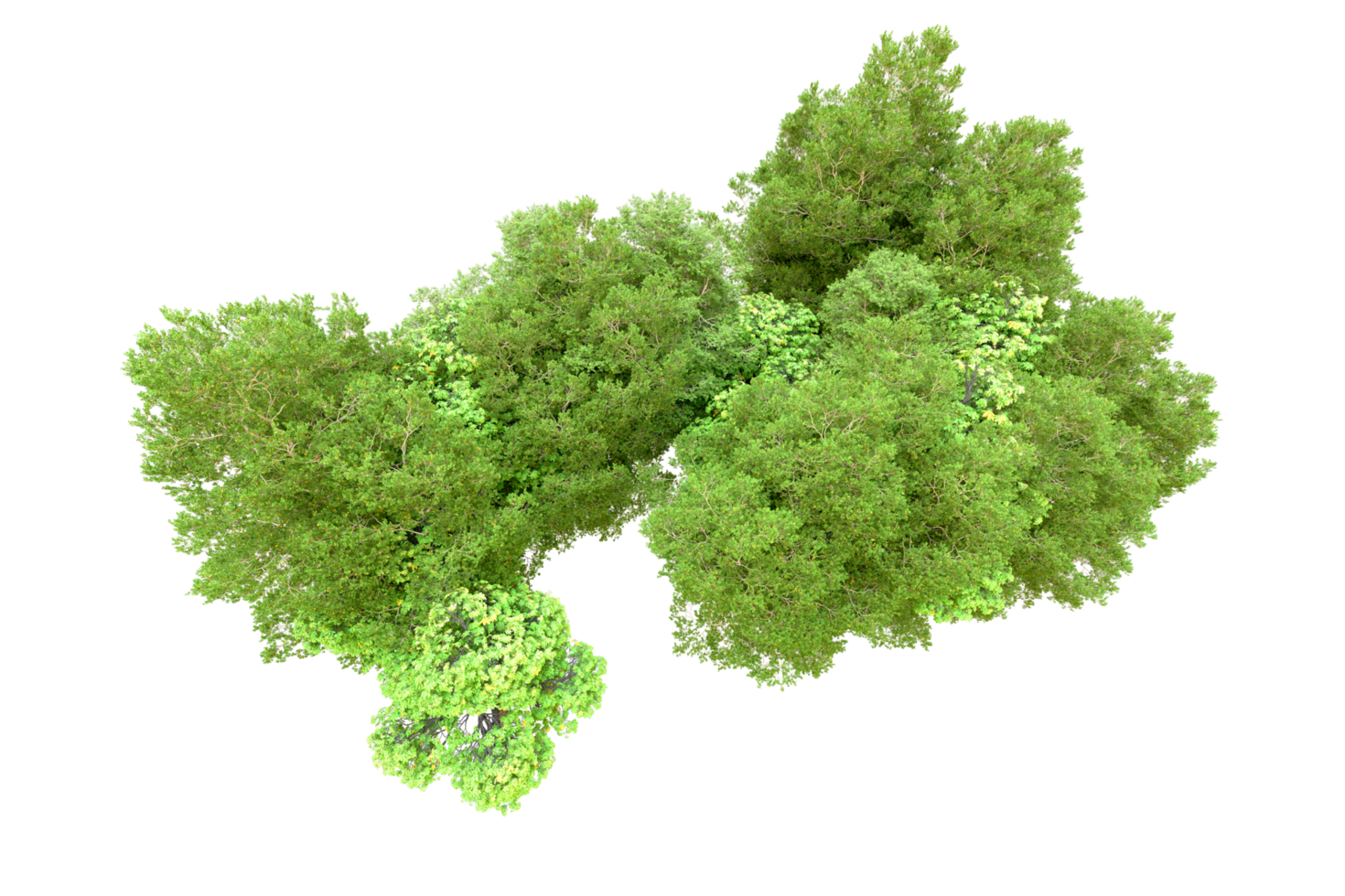 Green forest isolated on background. 3d rendering - illustration png